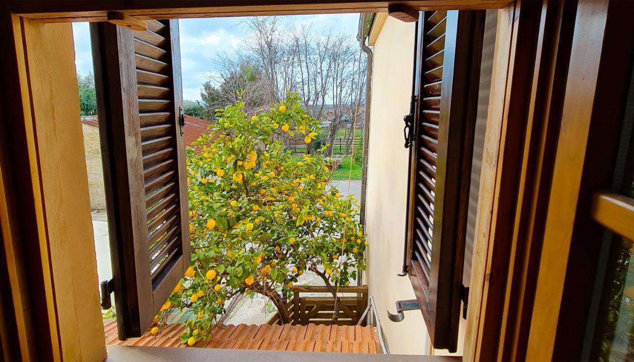 Agriturismo Barbadoro San Vincenzo Ngoại thất bức ảnh