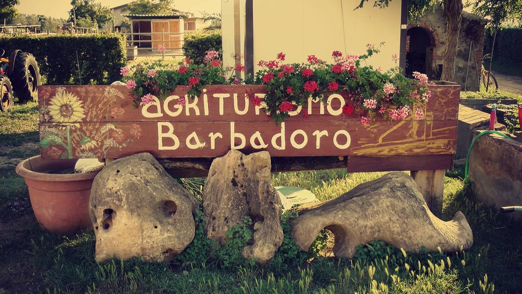 Agriturismo Barbadoro San Vincenzo Phòng bức ảnh